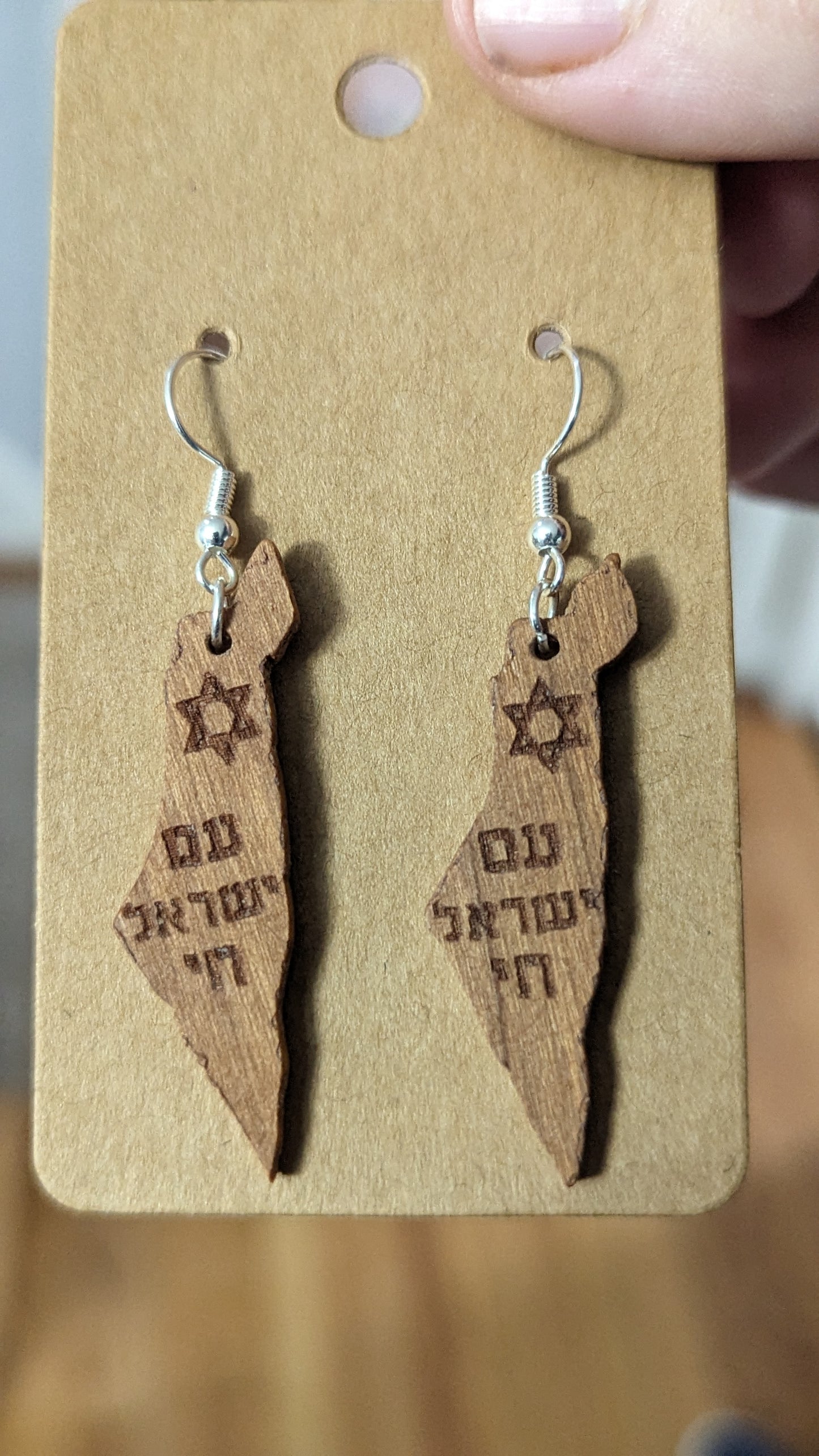 Israel Map Earrings